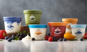 Greek Yogurt vs Yogurt Biasa